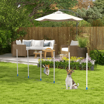 Daily Deals Depot Premium Dog Weave Pole Set Agility Starter Kit, Outdoor Pet Training & Exercise Equipment Premium Dog Weave Pole Set Agility Starter Kit, Outdoor Pet Training & Exercise Equipment