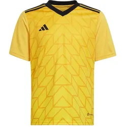 Adidas, Jungen, Sportshirt, Team Icon 23 Trikot (140), Gold, 140