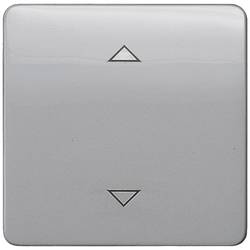 Siemens Schalterprogramm Wippe Delta Silber 5TG7986 1 St.