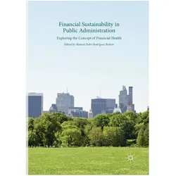 Financial Sustainability in Public Administration, Fachbücher von Manuel Pedro Rodríguez Bolívar, Pedro Rodríguez Bolívar