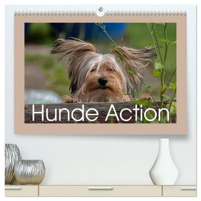 Hunde Action (hochwertiger Premium Wandkalender 2026 DIN A2 quer), Kunstdruck in Hochglanz