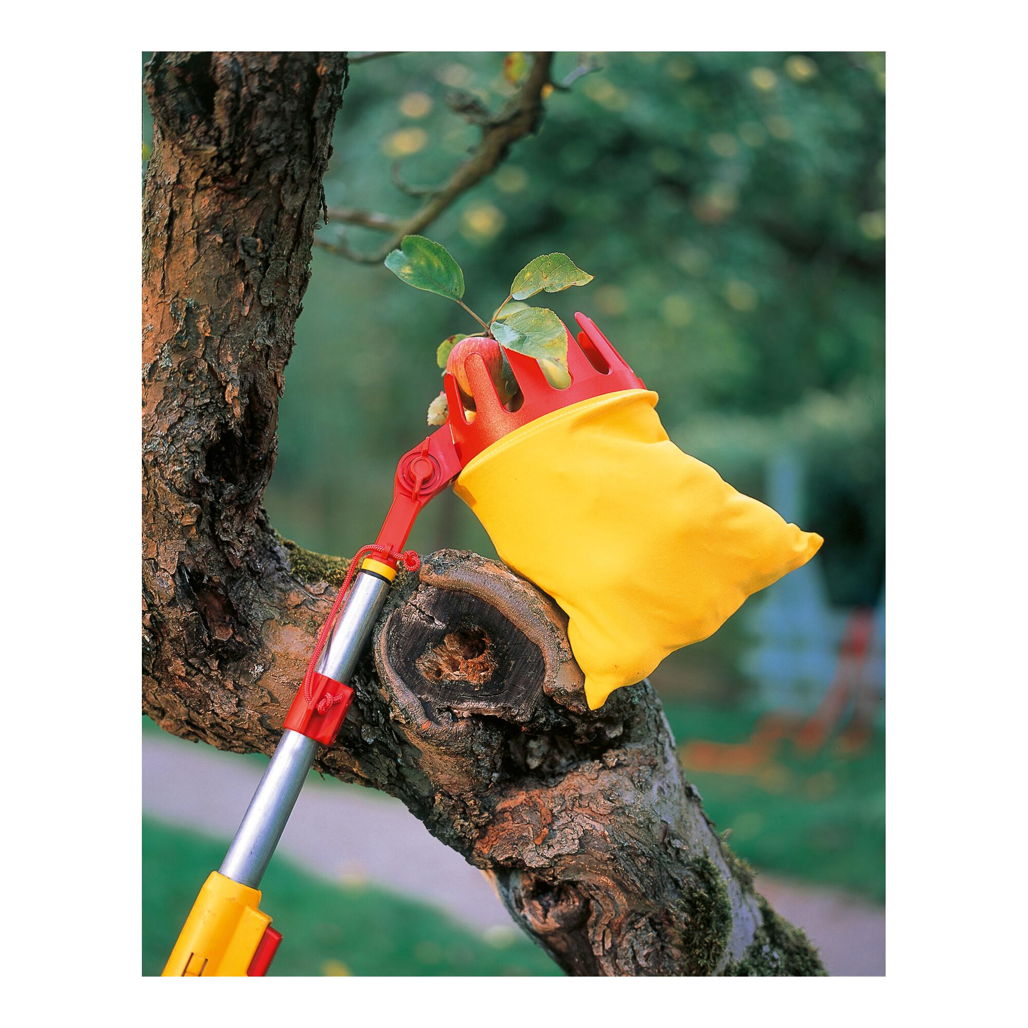 WOLF-Garten multi-star® Obstpflücker RG-M (71ACA008650)