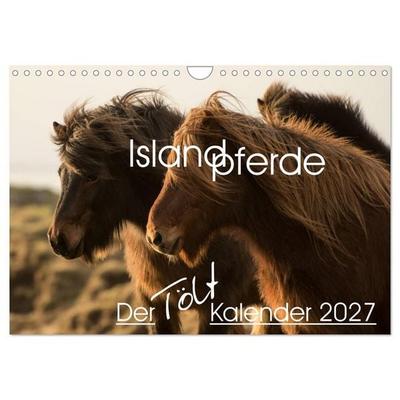 Islandpferde - Der Tölt Kalender (Wandkalender 2027 DIN A4 quer), CALVENDO Monatskalender