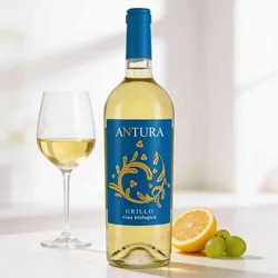 Maggio Vini 2024 Maggio Vini Antura Grillo 2024 Grillo Italien