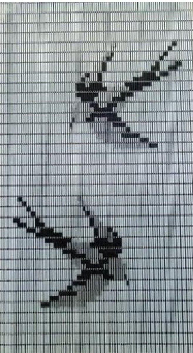 Deurgordijn Havana Swallow 100 x 230 cm