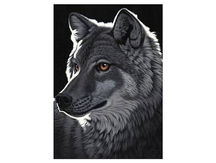 Schim Schimmel - Nacht van de Wolf