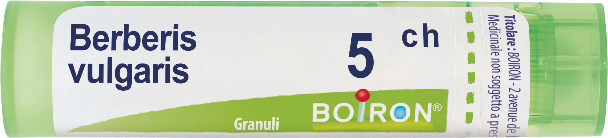 Berberis Vulgaris 5ch Granuli Multidose Boiron