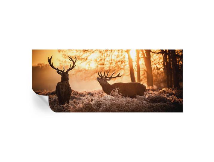 Wallfluent Fototapete 250x104 cm - Rehe am Morgen, Schwarz, 250x104 cm, Tapeten & Wandverkleidungen, Fototapeten