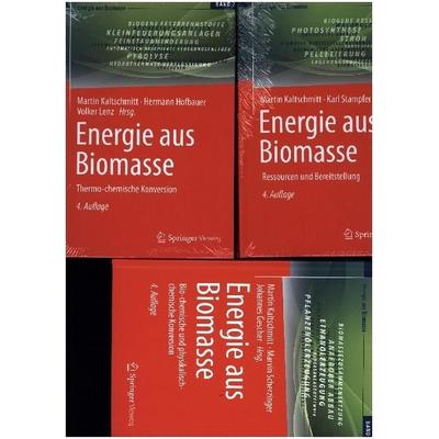 Energie aus Biomasse, Set von , Springer Fachmedien Wiesbaden GmbH, 978-3-658-45220-9