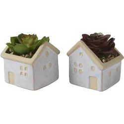 Kunstpflanze HOUSE (LBH 7,30x7x8 cm) - LBH 7,30x7x8 cm
