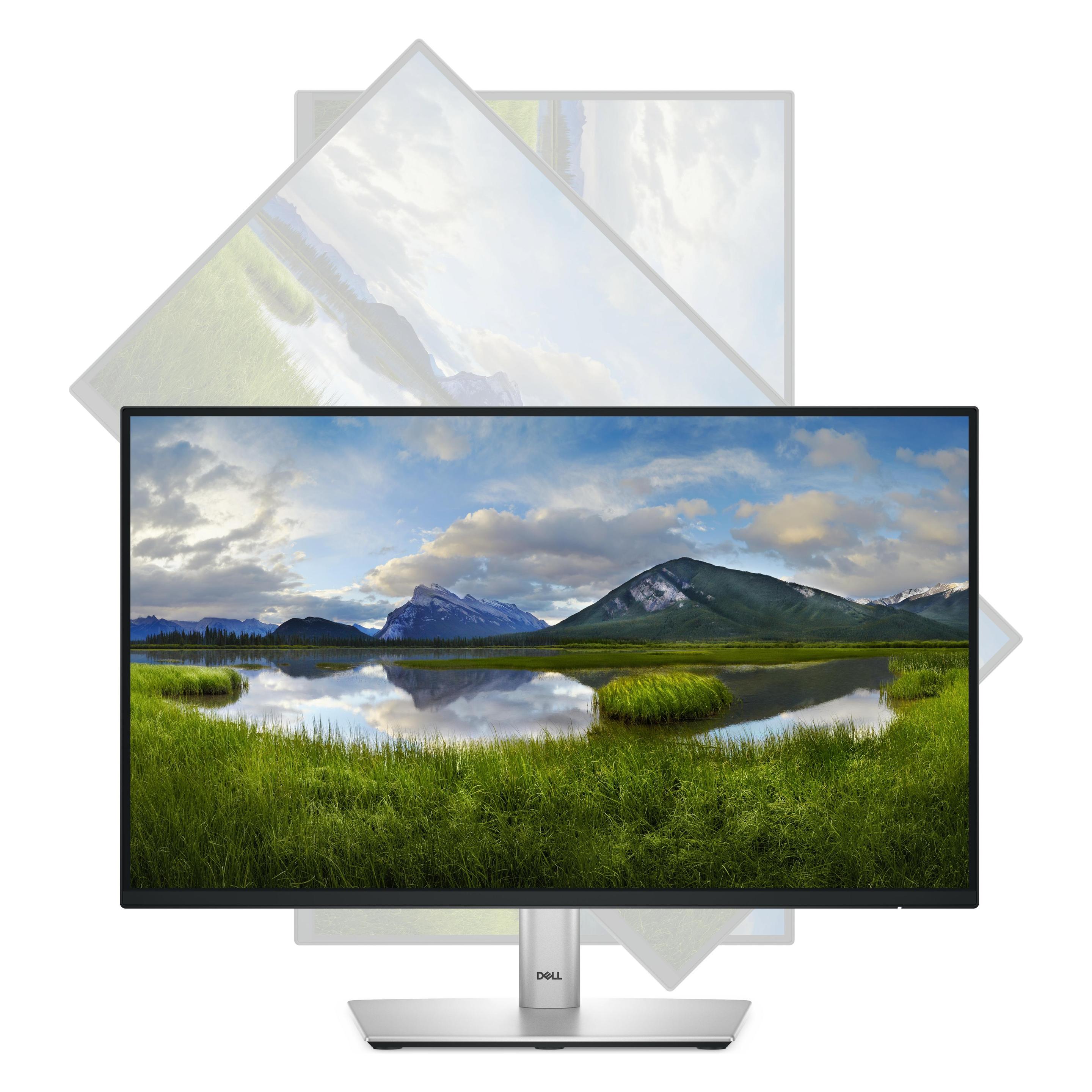 Dell P2225H (1920 x 1080 Pixel, 21.50") (DELL-P2225H)