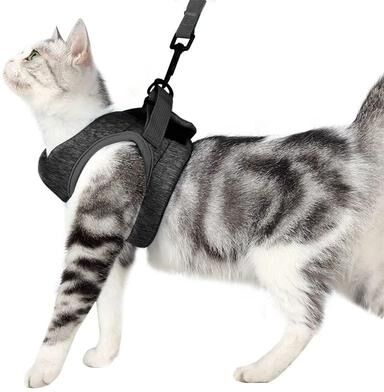 Uplift Treasures Breathable Adjustable Kitten Harness Set gray l