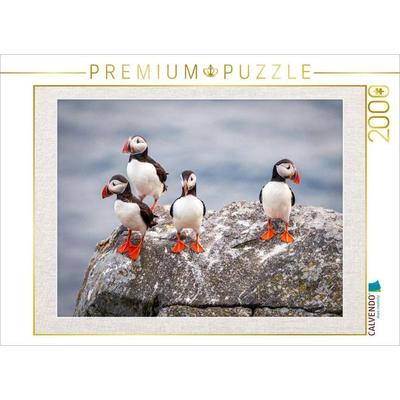 CALVENDO Puzzle Papageientaucher in ihrer natürlichen Umgebung | 2000 Teile Lege-Größe 90x67cm Foto-Puzzle für glückliche Stunden