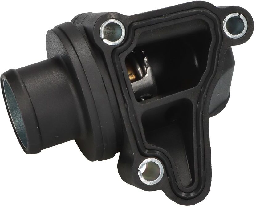 Thermostat (liquide de refroidissement) MOTORAD 599-87K