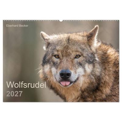 Wolfsrudel (Wandkalender 2027 DIN A2 quer), CALVENDO Monatskalender