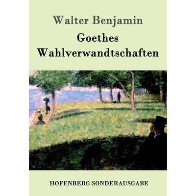 Goethes Wahlverwandtschaften, Taschenbuch von Walter Benjamin, Hofenberg, 978-3-8430-8423-9