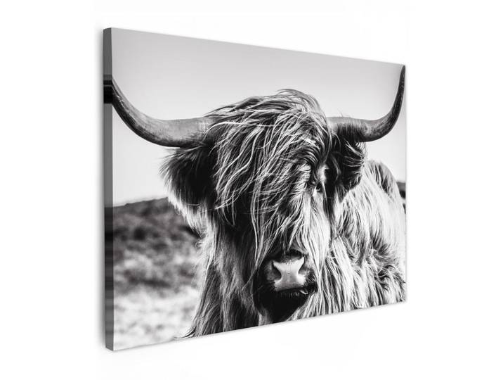 MuchoWow Leinwandbild - Kuh - Schottischer Hochländer - Schwarz - Weiß - Tier - Natur - Wildtiere - 80x60 - Malerei, Textil, Kiefer, Abstrakt, Rechteckig, 80x60 cm, gerahmt, Bilder & Rahmen, Bilder, Wandbilder