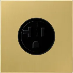 Jung Steckdose US-Norm NEMA ME 2521-20 C ME2521-20C
