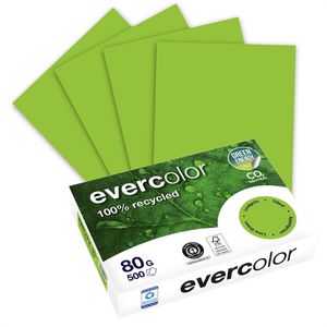 Clairefontaine Kopierpapier Evercolor, 2100005028, A4, Recycling, 80g/qm, lindgrün, 500 Blatt