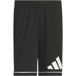 ADIDAS Herren Shorts Basketball Badge of Sport, Größe L in Schwarz Schwarz