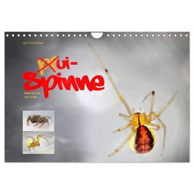ui - Spinne. Kleine Spinnen - groß im Bild (Wandkalender 2027 DIN A4 quer), CALVENDO Monatskalender