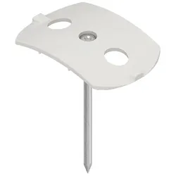 Kleinhuis Nagelscheibe mit Nagel
