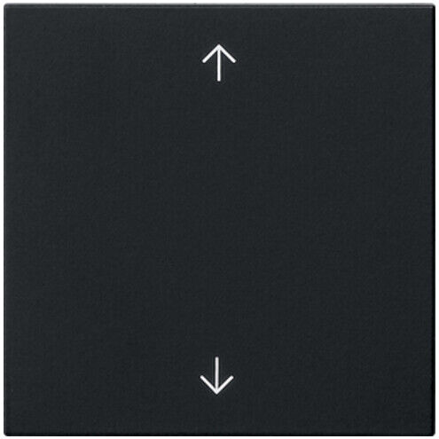 Gira Plaque simple noire 5389005 (5389005)