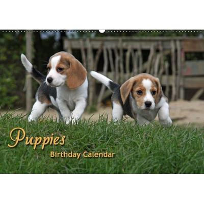 Puppies Birthday Calendar / UK-Version (Wall Calendar perpetual DIN A2 Landscape)