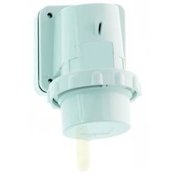 Bals Elektrotechnik 24025 24025 CEE Anbaustecker 32.0 A 4polig 500 V 1 St.