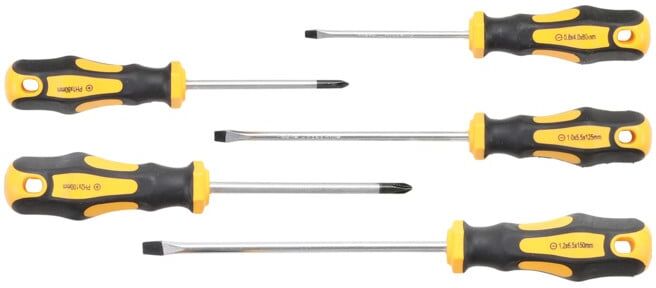 Jeu de tournevis 5 pièces BGS Do it yourself (7946)