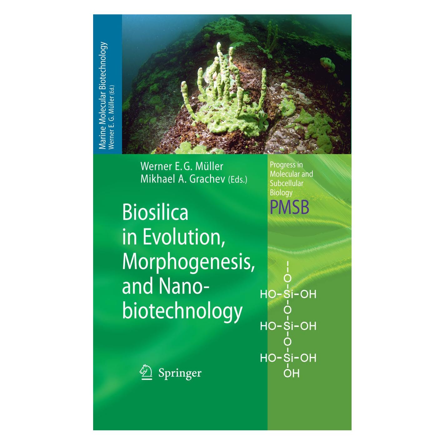Springer Biosilica in Evolution, Morphogenesis, and Nanobiotechnology (Englisch, Hardcover, Mikhael A. Grachev, Werner E. G. Müller) (9783540885511)
