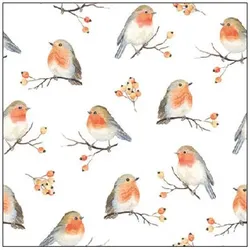 Ambiente, Servietten, Serviette 25cm Robin Family (20 Stk., 25 x 25 cm)