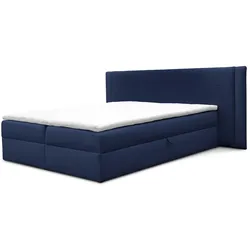 BOXBETT Cedric In Magic Velvet
