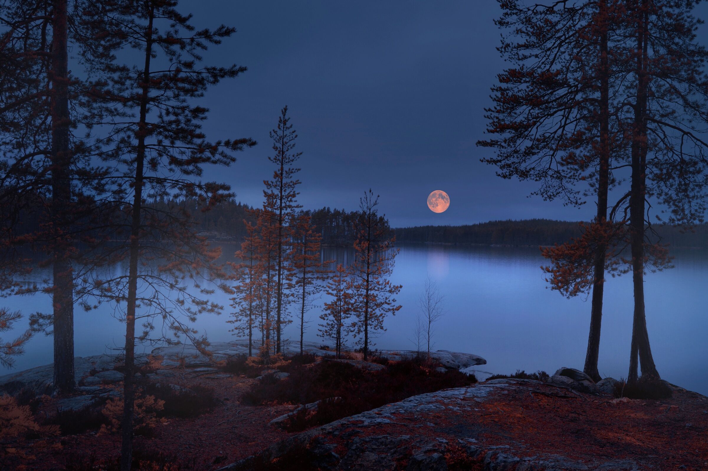 Fototapete PAPERMOON "Photo-Art NIKKI GEORGIEVA V, ROTER MOND", bunt, B:5m L:2,8m, Vlies, Tapeten, Fototapete bunt B/L: 5m x 2,8m, Bahnen: 10 Stk.