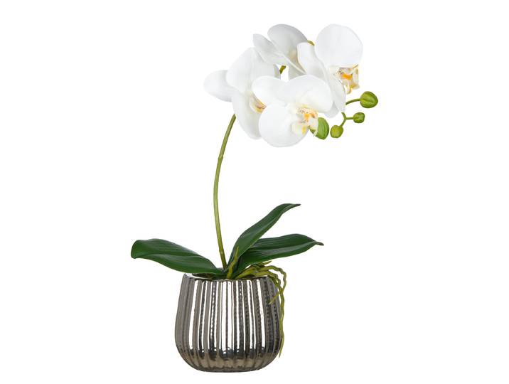 Phalaenopsis artificiel type F 36cm