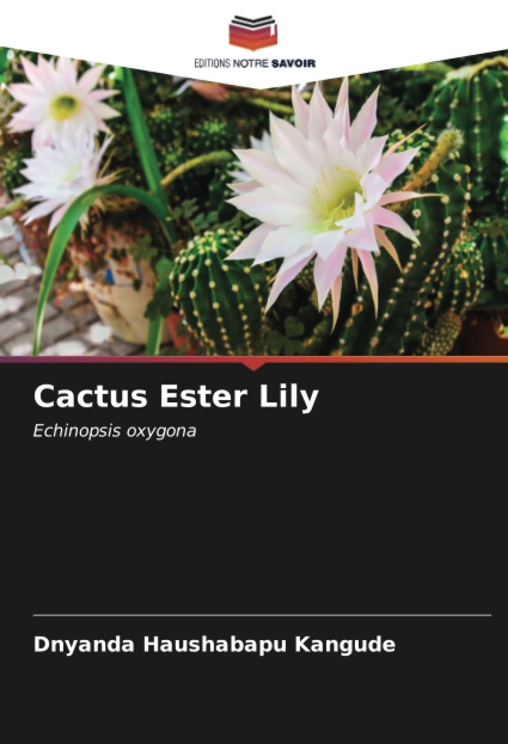 Echinopsis Oxygona Cactus
