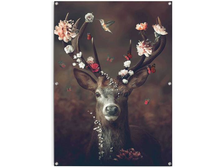 Poster REINDERS Hirsch , braun (farbe bild(er): braun), B:100cm H:140cm T:0,1cm, Leinwand, Bilder, Poster, leichtes und wasserfestes Gartenposter für den Ausseneinsatz