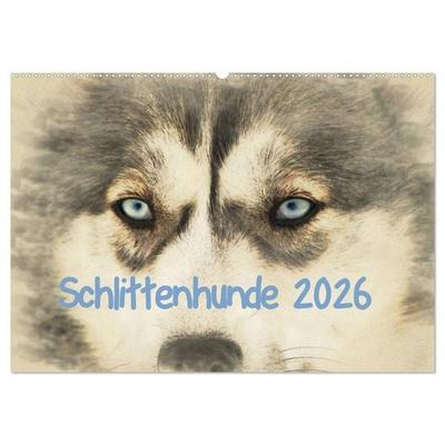 Schlittenhunde 2026 (Wandkalender 2026 DIN A2 quer), CALVENDO Monatskalender
