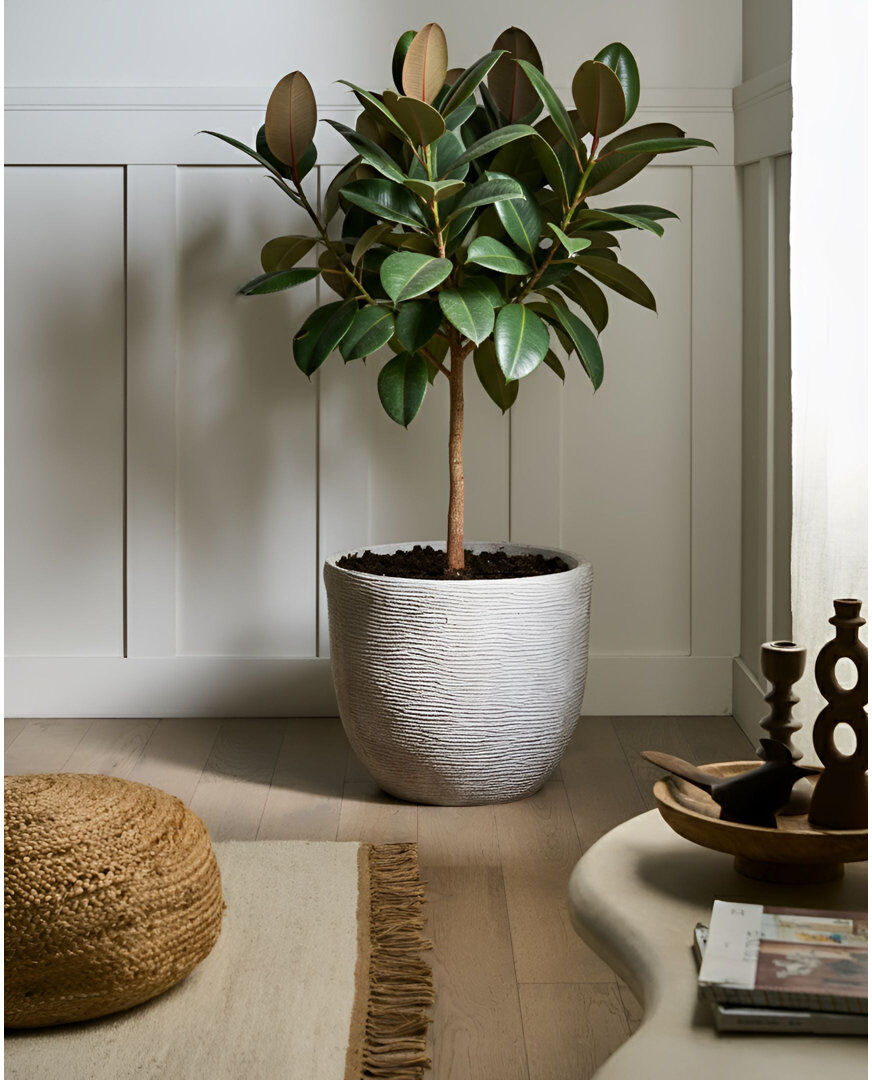 Bloomsbury Market Pot Planter Grey 40cm H X 47cm W X 47cm D