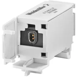 Weidmüller Stecker SPE-Buchse IE-TO-SP0-C-LP