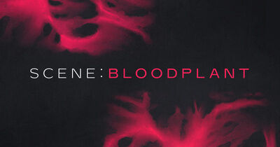 Native Instruments Scene: Bloodplant