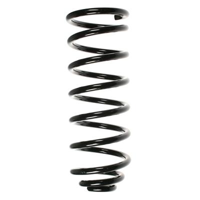 SPIDAN Fahrwerksfeder 55039 Hinterachse