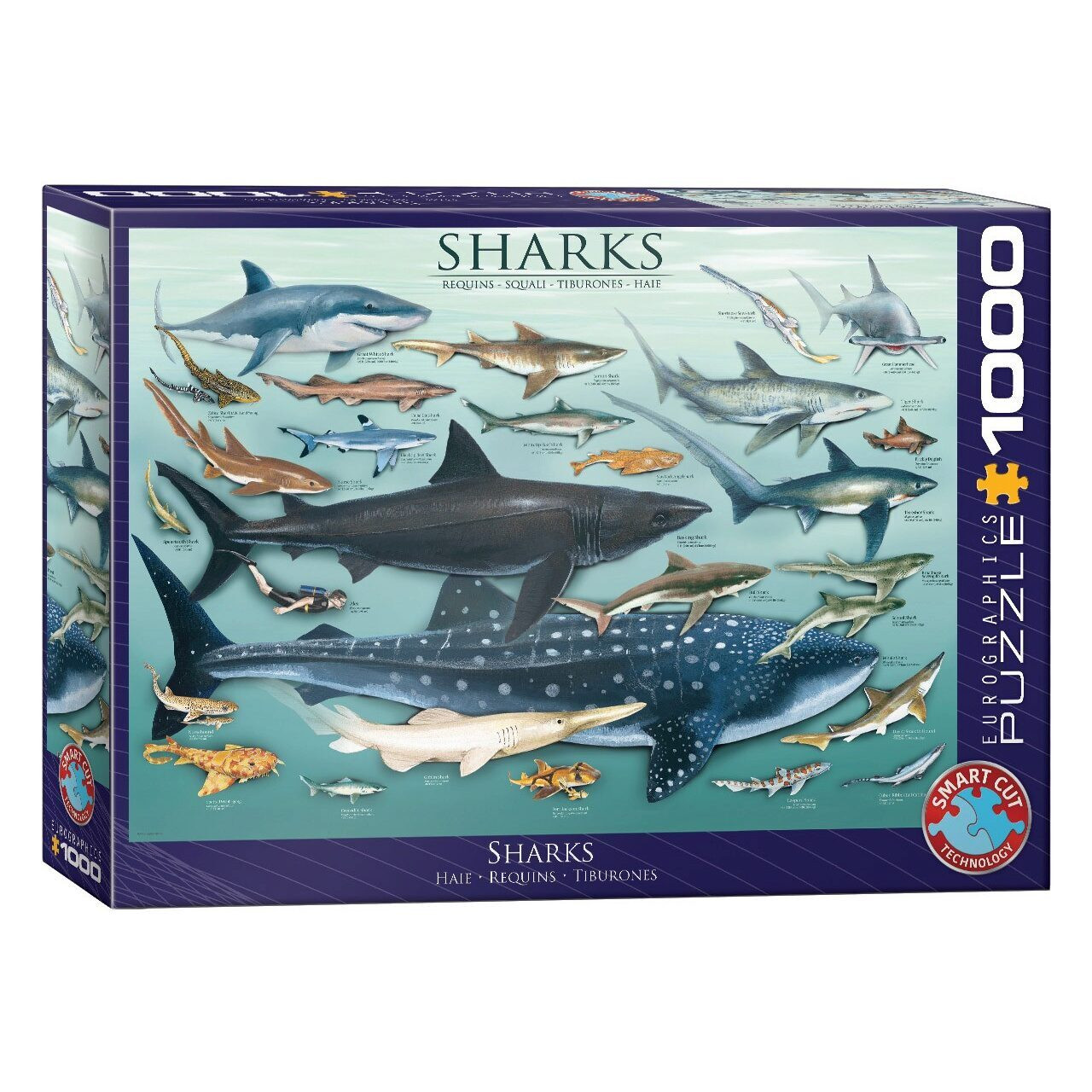 Eurographics Puzzel Haaien 1000 stukjes