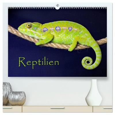 Reptilien (hochwertiger Premium Wandkalender 2027 DIN A2 quer), Kunstdruck in Hochglanz