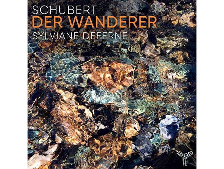 Schubert der Wanderer