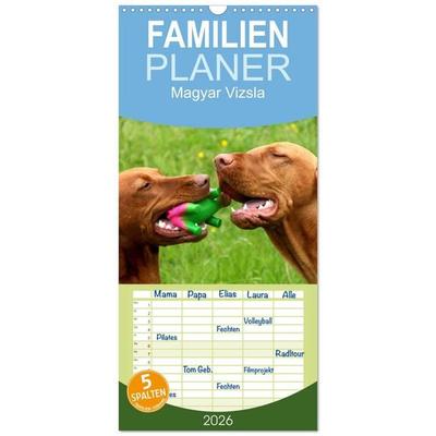 Familienplaner 2026 - Magyar Vizsla mit 5 Spalten (Wandkalender, 21 x 45 cm) CALVENDO