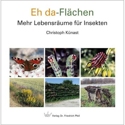 Eh da-Flächen, Gebundene Ausgabe von Christoph Künast, Pfeil, F, 978-3-89937-281-6