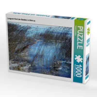CALVENDO Puzzle Langsam friert der Bodden in Wiek zu 1000 Teile Lege-Größe 64 x 48 cm Foto-Puzzle Bild von Renate Grobelnx