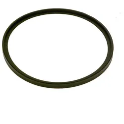 Lippendichtung DN125 - 7736700058