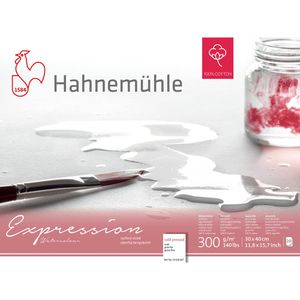 Hahnemühle Aquarellpapier Expression Aquarell, 30 x 40 cm, 300 g/m², naturweiß, geleimt, 20 Blatt